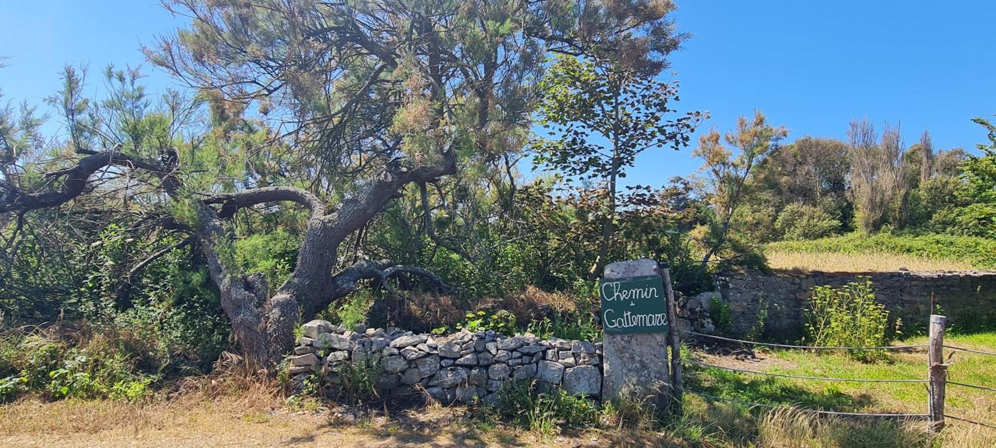 Relais Des Iles Saint Marcouf别墅 外观 照片